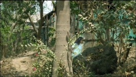 Noyontara - 9th April 2026